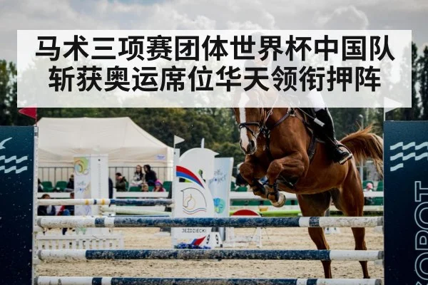 show jumping horse